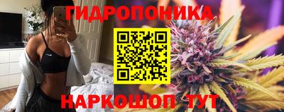 амф Усть-Джегута
