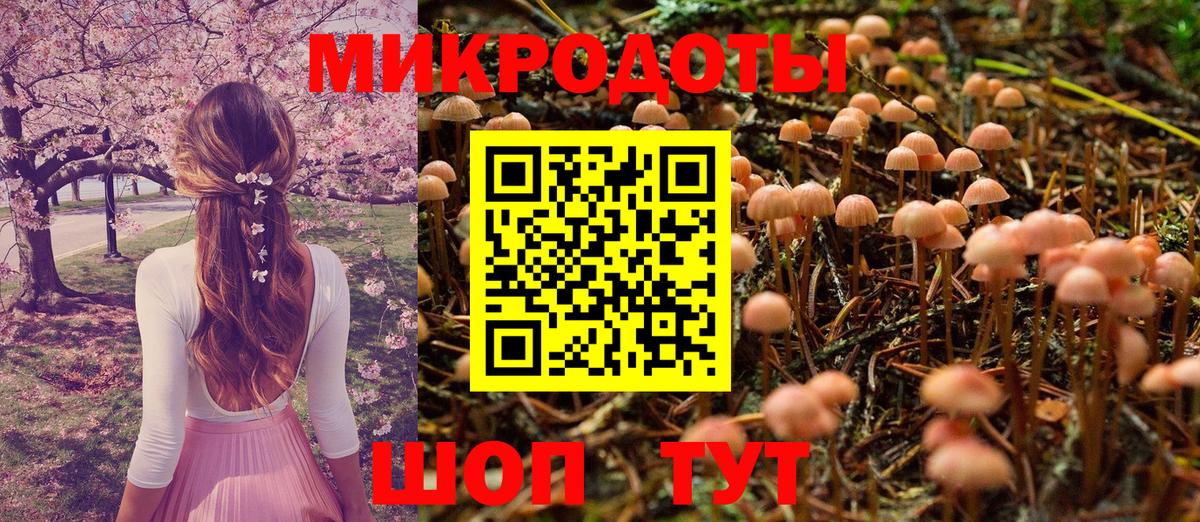 Галлюциногенные грибы мухоморы Отрадное